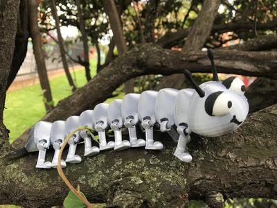 100 Articulated Feet - Ciempies - Centipede