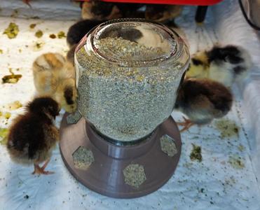 Nutella jar chicken feeder   