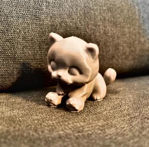 A Purrfect Kitten   