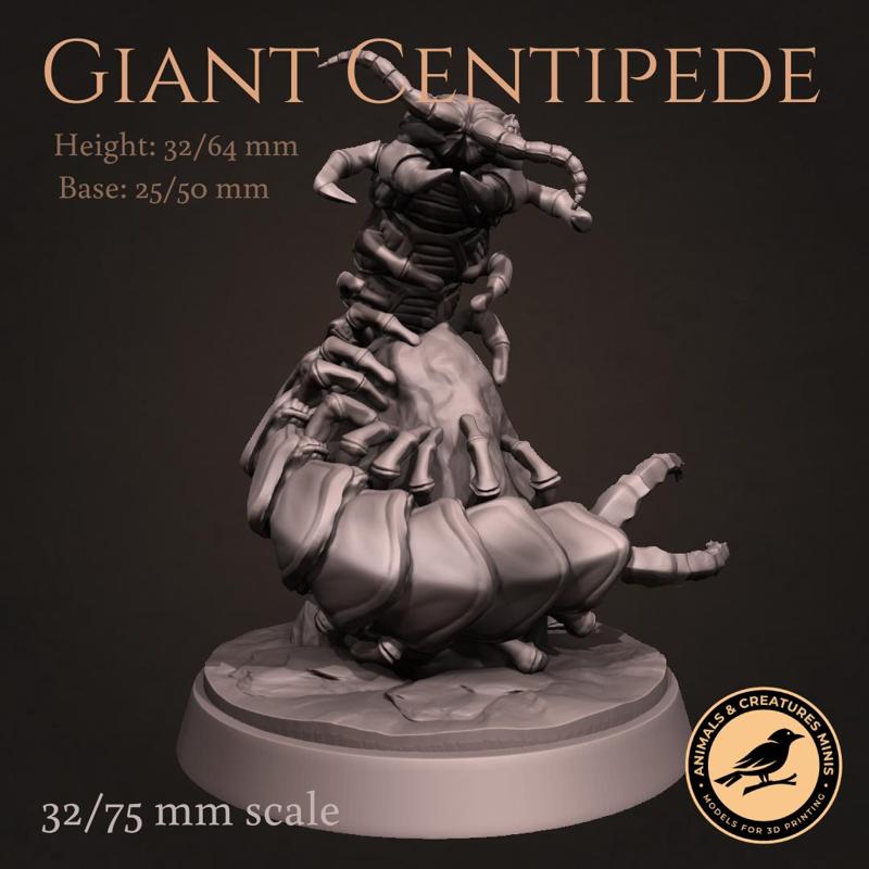 Giant Centipede