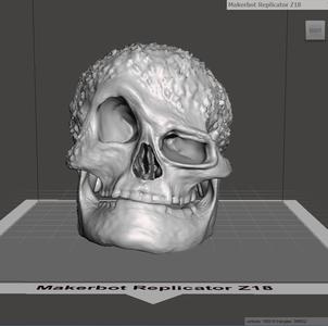 Skull