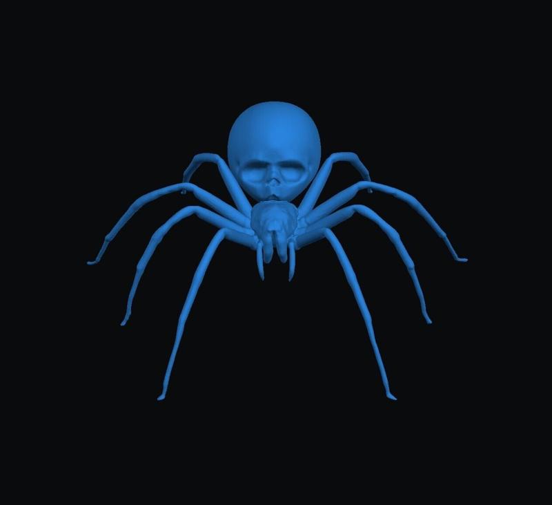 Spider skull