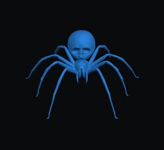 Spider skull