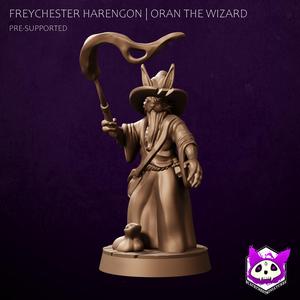 Freychester Harengon | Oran the Wizard