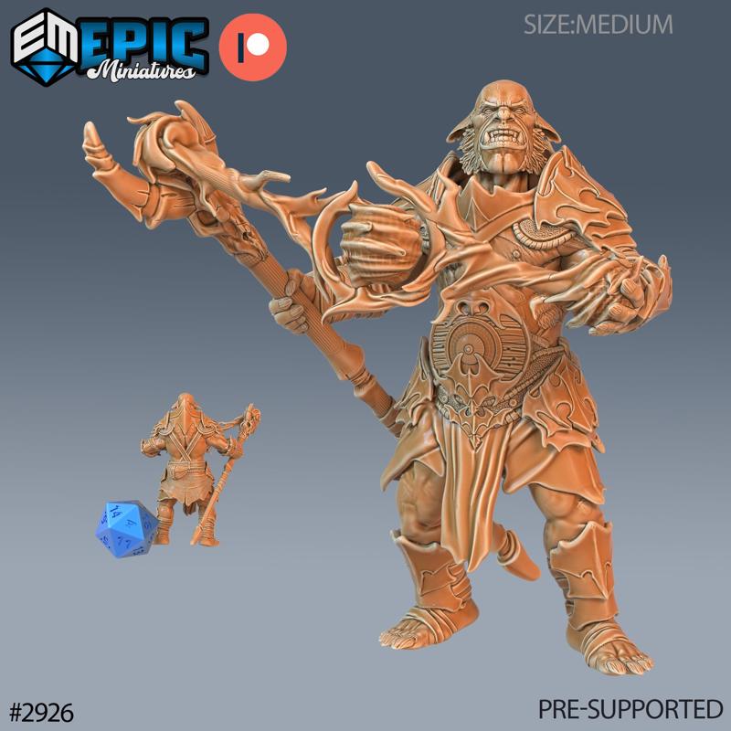 Hob Goblins Shaman / Male Goblinoid / Evil Ogre / Cave Beast / Forest Guard / Siege Servant