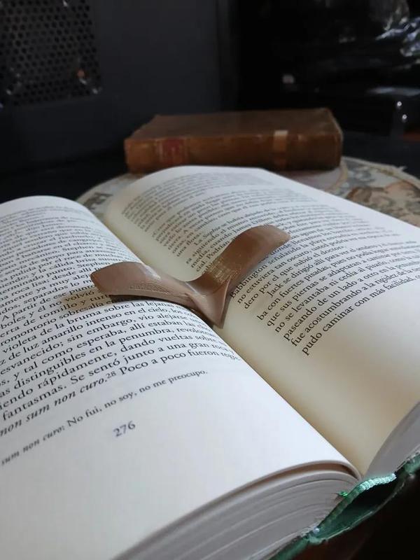 Separador de Paginas AVE   