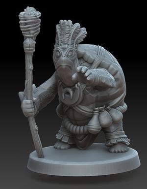 Sea Tortle Druid