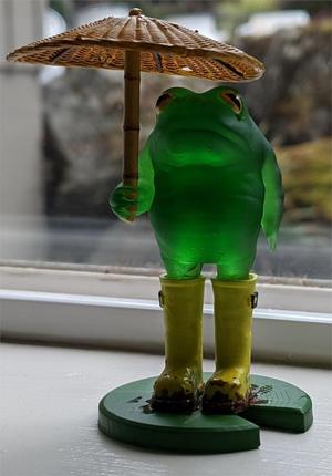 Parasol Frog