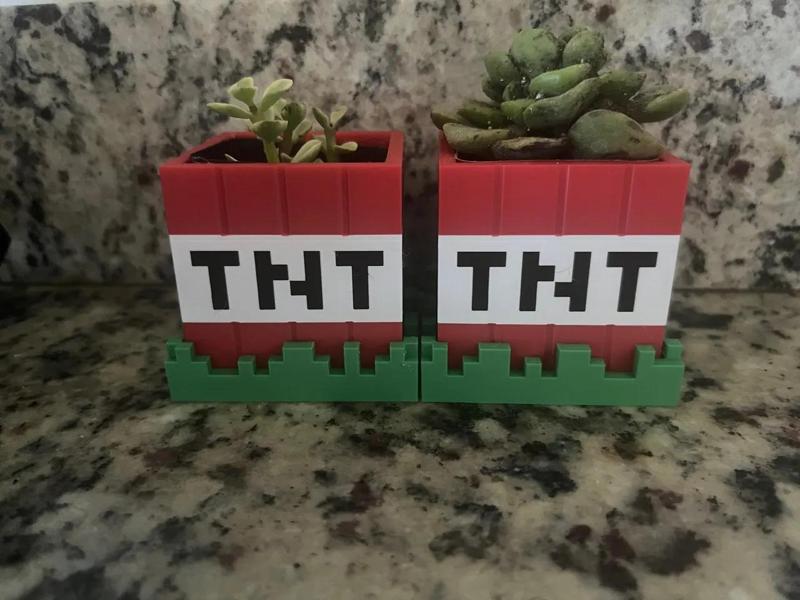 MINECRAFT SUCCULENT POT   