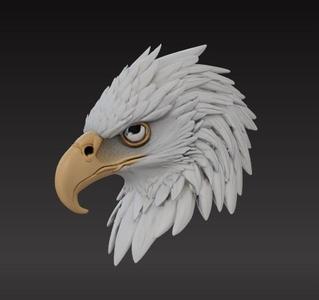 eagle head