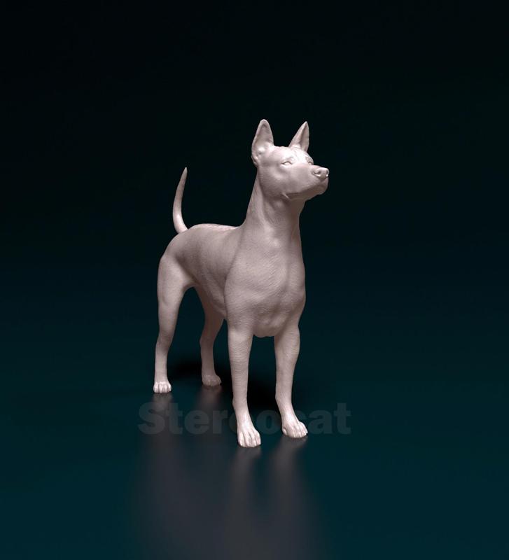 Thai Ridgeback 