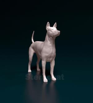 Thai Ridgeback 