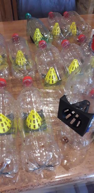 Asian hornet trap kit for round bottles