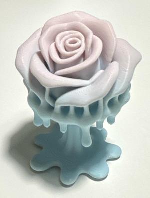 Melting Rose