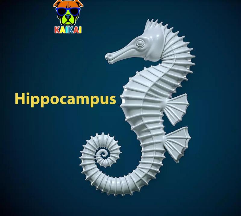 Hippocampus - Animal - decor - 3D print