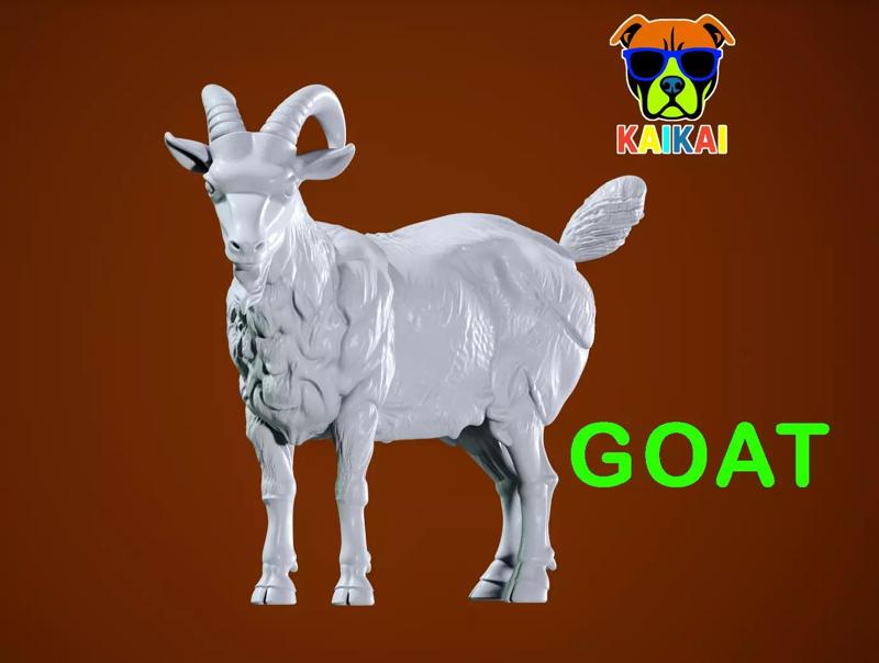 Mountain goat Bovidae model - 3D print