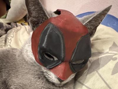 Deadpool Catmask