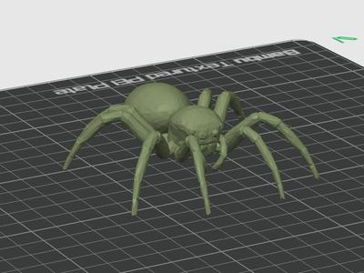 Halloween Spider