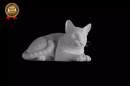 Cat Print Model Lying Down Relaxed Pose