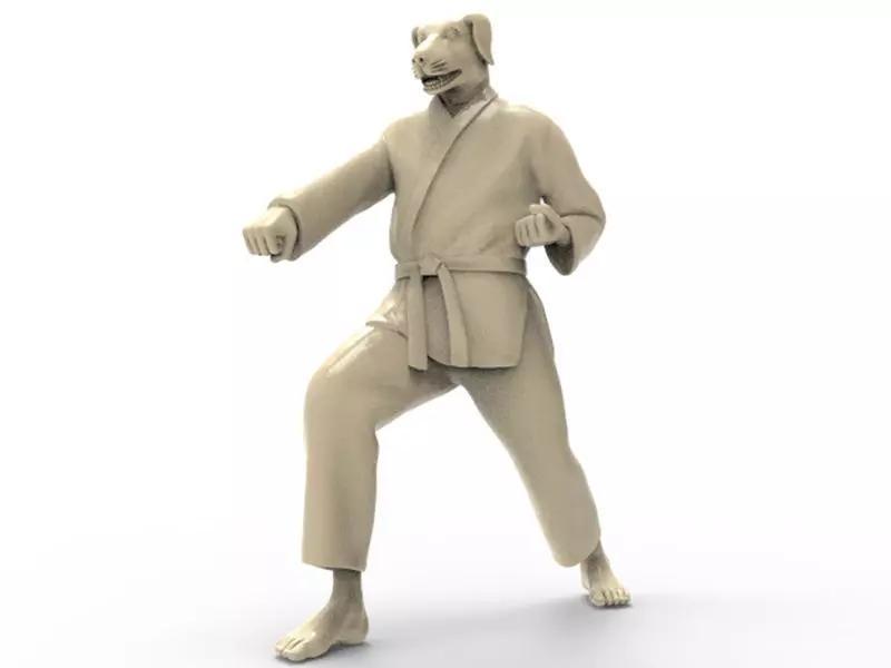 Dog Zenkutsu Dachi Stance