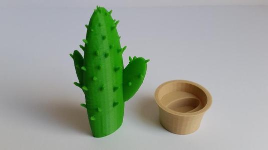 Cactus in a pot
