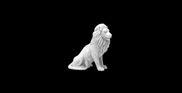 lion 5