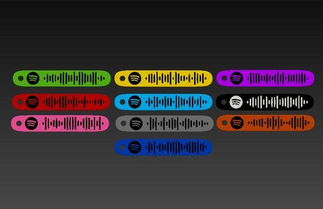 TAYLOR SWIFT SPOTIFY KEY CHAINS