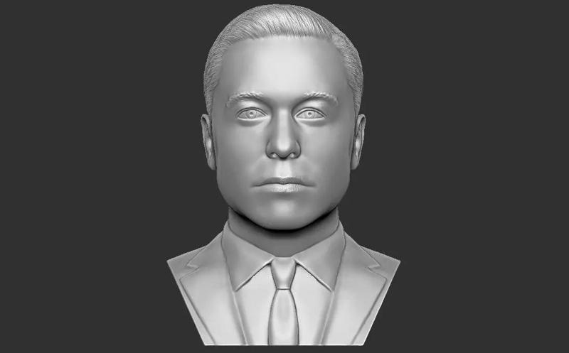 Elon Musk bust for 3D printing