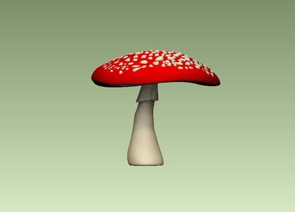 Fly Agaric Mushroom