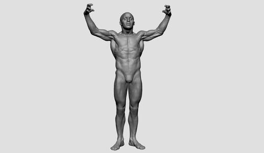 Male Anatomy Printable v2