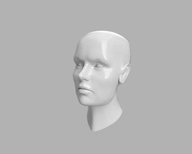 Human Head Model - Bring Anatomy to Life