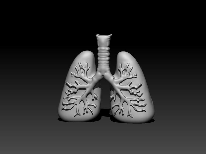 lung