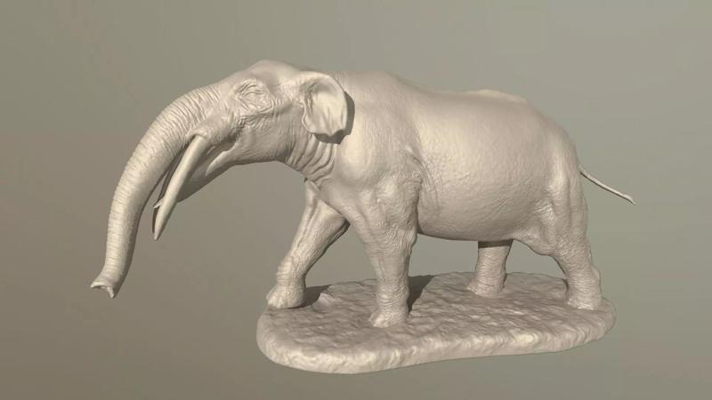 Gomphotherium atavus model for 3D printing