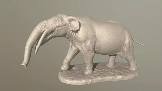Gomphotherium atavus model for 3D printing