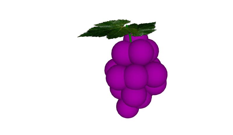 GRAPE Fruit FRUIT FOREST WOOD NATURE FRUIT UVE GRAPE