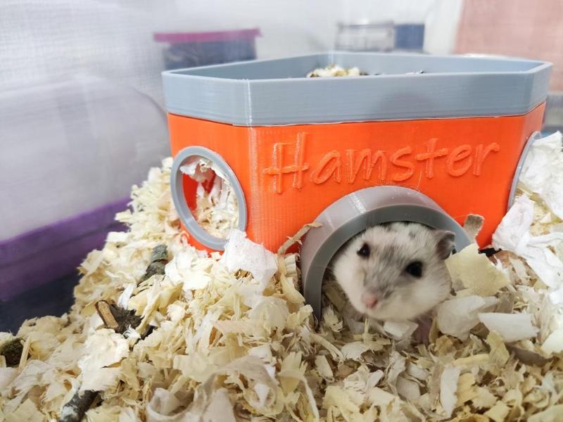 Hamster house