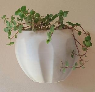 Wall Mounted Plant Pot