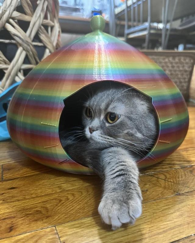 Cat House (no roof holes)