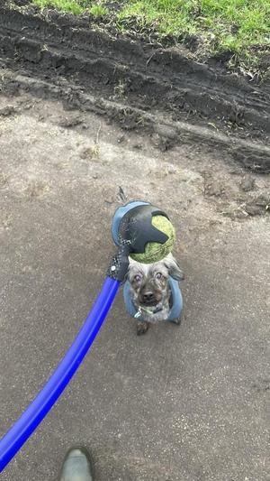 Tennis Ball Thrower Head (for Nerf Thrower)