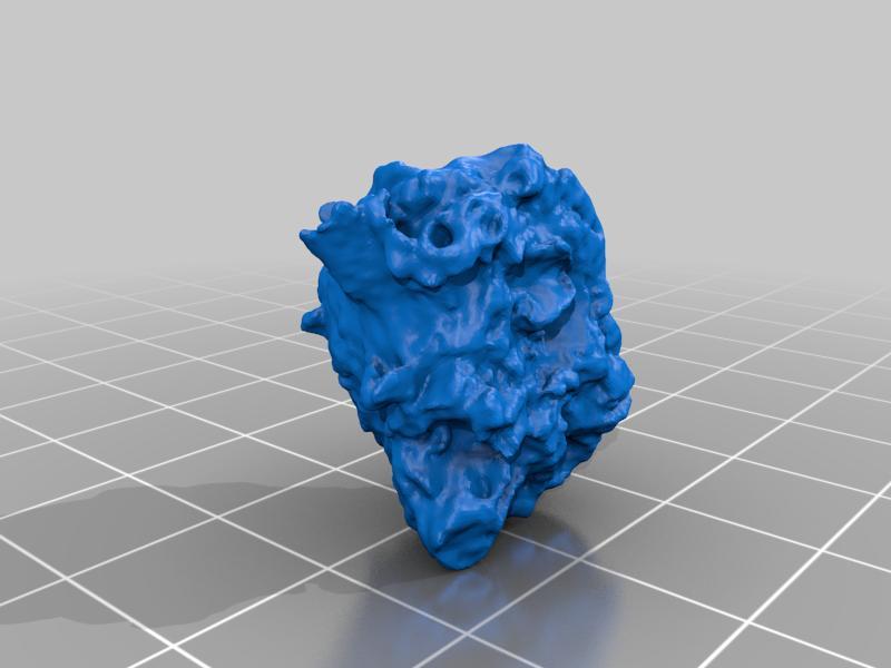 Amphichama argentata