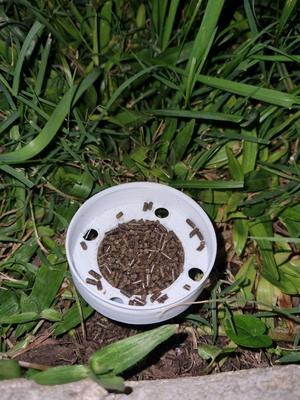 Ant bait station - Granular