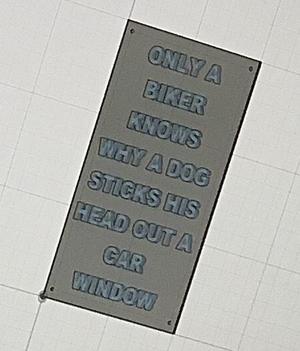only a biker knows why a dog sticks his head out of a car window