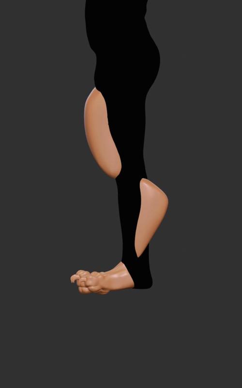 Werewolf foot paw and leg (wip)