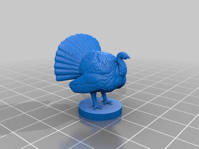 Danger Turkeys