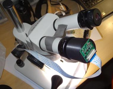 Eyepiece Raspberry pi Camera adapter for 33mm eyepiece Stereo microscope (like Wild M8)