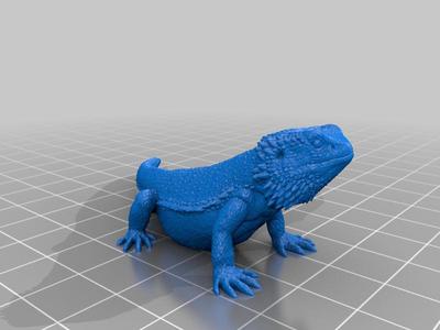 Bearded Dragon Keychain