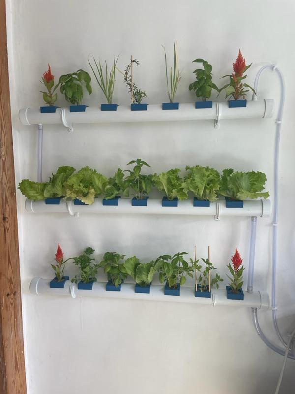 PVC Pipe indoor Hydroponics