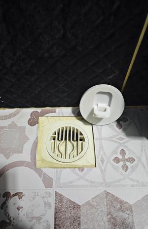 Shower drain plug