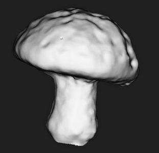 Mushroom Figure