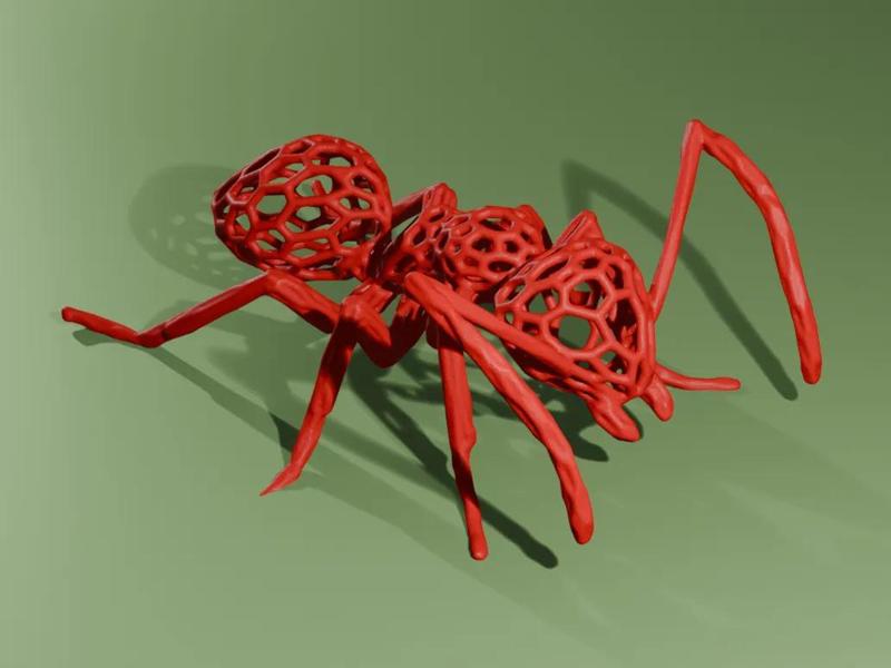 Ant Voronoi   
